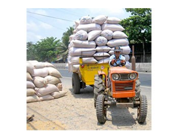 Rice prices surge as Government begins stockpiling (Photo: SGGP) Rice prices surge as Government begins stockpiling (Photo: SGGP)